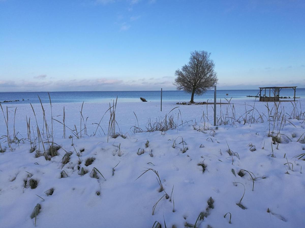 Ueckermünde Fewo "Hafenblick" מראה חיצוני תמונה