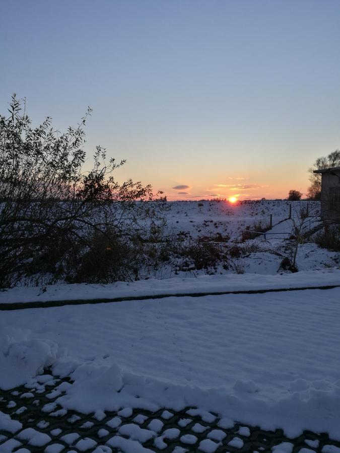 Ueckermünde Fewo "Hafenblick" מראה חיצוני תמונה