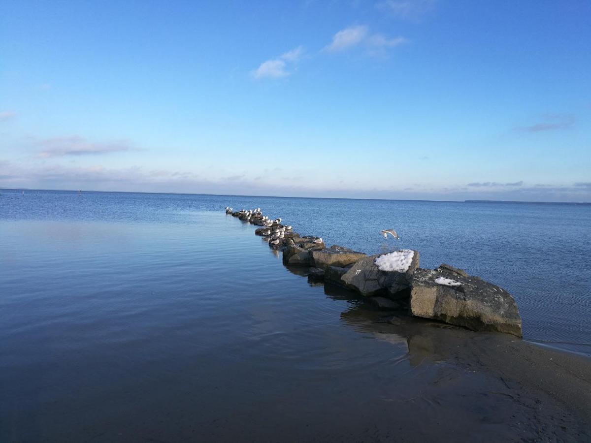 דירות Ueckermünde Fewo "Hafenblick" מראה חיצוני תמונה