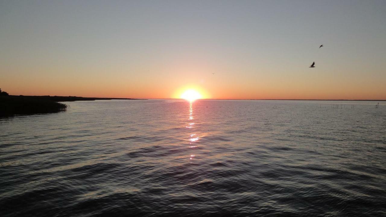 דירות Ueckermünde Fewo "Hafenblick" מראה חיצוני תמונה