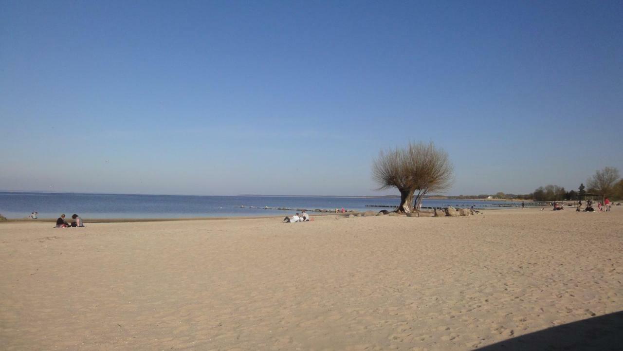 דירות Ueckermünde Fewo "Hafenblick" מראה חיצוני תמונה